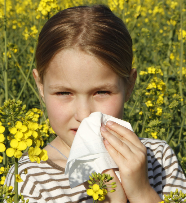 Treatment for Allergies